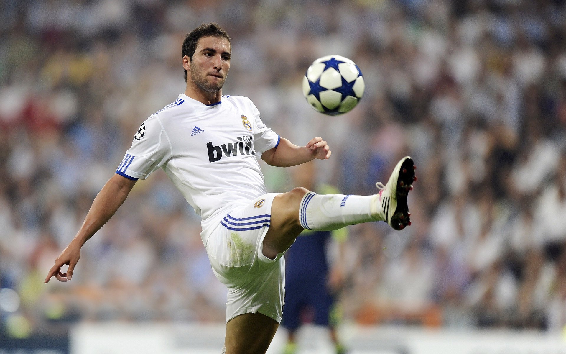 _球迷狂欢节:现场互动、签名会热情高涨_,球迷的疯狂举动